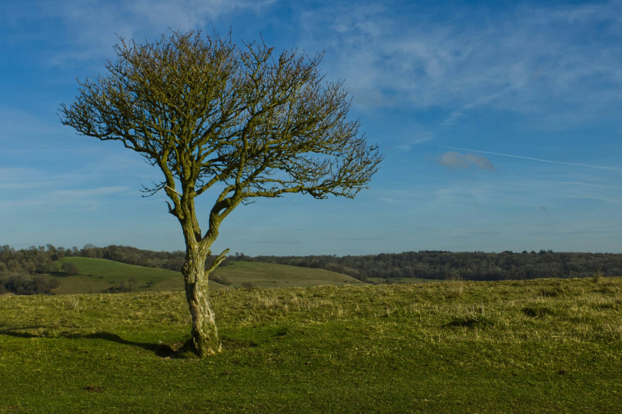 Chilterns 3 Peaks